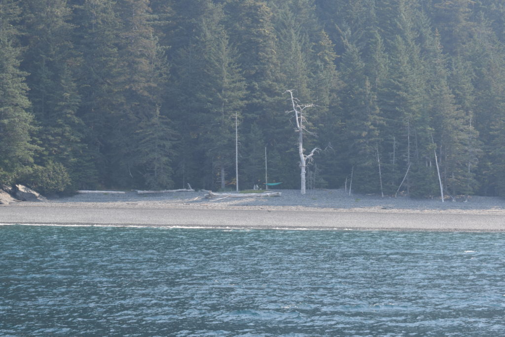 Resurrection Bay Tide Chart