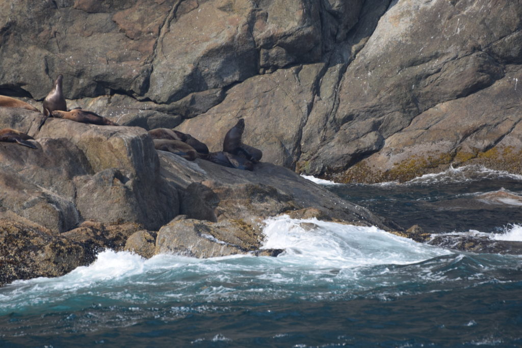 Resurrection Bay Tide Chart